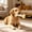 Yellow, variant on Teething Toys, Fit Small And Medium Dogs For Oral Care And Regular Interaction, Bone Shaped Chew Toys