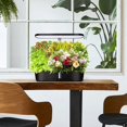 thumbnail image 5 of Intelligent Indoor Garden Kit, Hydroponic System with LED Grow Light, 5 of 5