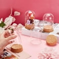 thumbnail image 3 of Juego de 4 campanas de cristal con base de corcho para exhibir botellas decorativas., 3 of 9