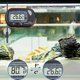 thumbnail image 4 of Monitor con pantalla LED para acuario, termómetro digital de vidrio para acuario, suministros para mascotas, termómetro para acuario, control de temperatura, 4 of 5