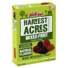 Kellogg's Harvest Acres Mixed Fruit Flavored Snacks Pouches, 10 Count