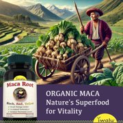 iwalu Organic Maca Root Capsules | Peruvian Black, Red, Yellow | Supports Energy, Endurance, Hormone Balance - 60 Vegan Capsules | NSF Certified & USA Made