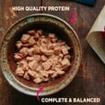 thumbnail image 3 of Wellness CORE Natural Grain Free Small Breed Mini Meals Chunky Variety Pack, 3-Ounce (Pack of 12), 3 of 8