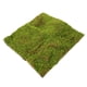 thumbnail image 2 of Césped de musgo falso, mesa de arena, tapete de musgo, mesa de arena, tapete de musgo falso, decoración de césped DIY, 2 of 6