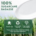 thumbnail image 3 of Platos de papel ZOES HOMEWARE 100% compostables, 30 cm, 100 unidades, 3 of 7