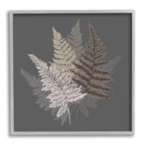 Stupell Industries Botanical Fern Leaves Modern Layered Nature Design Graphic Art Gray Framed Art Print Wall Art, Design by House of Rose