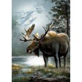 thumbnail image 1 of Taladro Diamante Pintura (DE3286) 5D DIY Bordado de punto de cruz completo (Animal-W168) 50x70cm Hugtrwg Para estrenar, 1 of 1