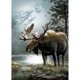 thumbnail image 1 of Taladro Diamante Pintura (DE3286) 5D DIY Bordado de punto de cruz completo (Animal-W168) 50x70cm Hugtrwg Para estrenar, 1 of 1