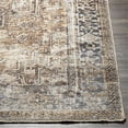 thumbnail image 2 of Surya Lincoln LIC-2306 39 x 96" Runner Traditional Fabric Rug in Multi-Color, 2 of 7