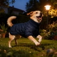 thumbnail image 4 of Windproof Thermal Outdoor Vest Coat With Adjustable Fit And Convenient Pocket For Long Bodied Short Legged Dogs, 4 of 5