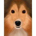 thumbnail image 2 of Fab Funky 20x24 Black Ornate Wood Framed with Double Matting Museum Art Print Titled - Shetland Sheepdog Big Dog, 2 of 4