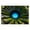 A, variant on TIELUTT 3D Diatomite Bathroom Mat Super Absorbent Non Carpet Living Room Kitchen Entrance Mat Big Rugs for Bedroom Throw Warm Fuzzy Throw Blanket Living Room Blankets Thick Area Rug