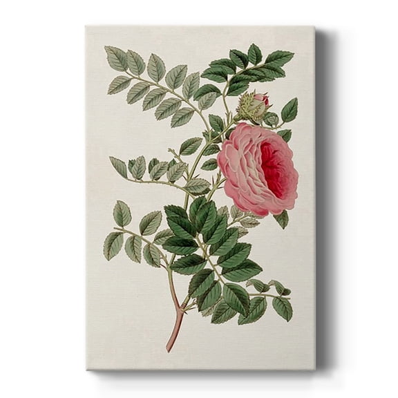 Pink Floral Mix I Premium Gallery Wrapped Canvas - Ready to Hang