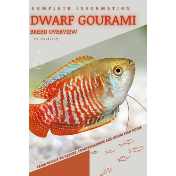Dwarf Gourami: From Novice to Expert. Comprehensive Aquarium Fish Guide (Paperback) by Iva Novitsky
