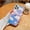 T1, variant on Luxury Aurora Sky Clouds Transparent Phone Case For iPhone 13 12 11 Pro Max 7 8 Plus X XR XS Max SE 2 Laser Acrylic Cases Cover