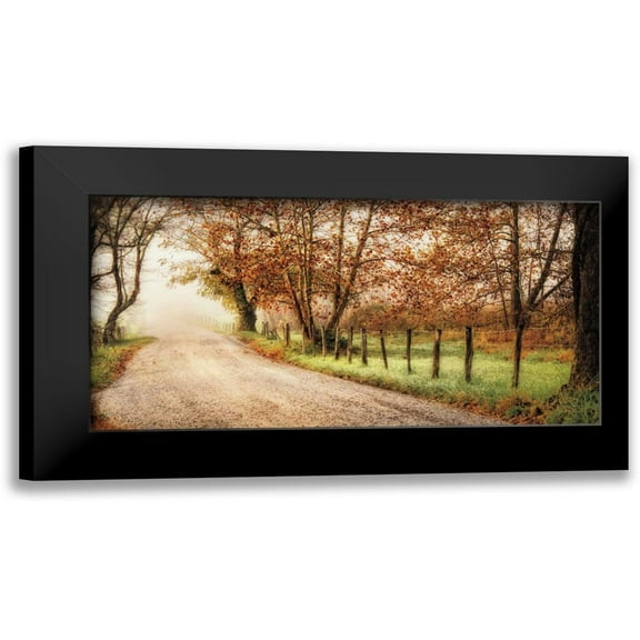 Burt, D. 14x9 Black Modern Framed Museum Art Print Titled - Fog Ahead