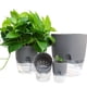 thumbnail image 5 of Self Watering Pots for Indoor Plant, 1 Pack Plastic Self Watering Plant Pots with Deep Reservoir for Windowsill, Bedroom, Green （3*3*4in）, 5 of 8