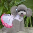 2015 Fashion Puppy Dog Dress Dog Cherry Lace Skirt Pet Dog Tutu Dress Xlarge Dog for Walking