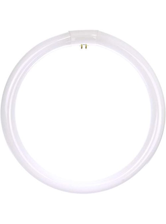 Circline Light Bulbs in Shop Light Bulbs by Shape