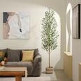 thumbnail image 4 of DR.Planzen Artificial Olive Tree 7 ft Tall Faux Floor Plant in Black Pot - Realistic Greenery with Adjustable Branches and Fruits - Indoor Home Office Decor for Living Room Apartment Workspace, 4 of 8