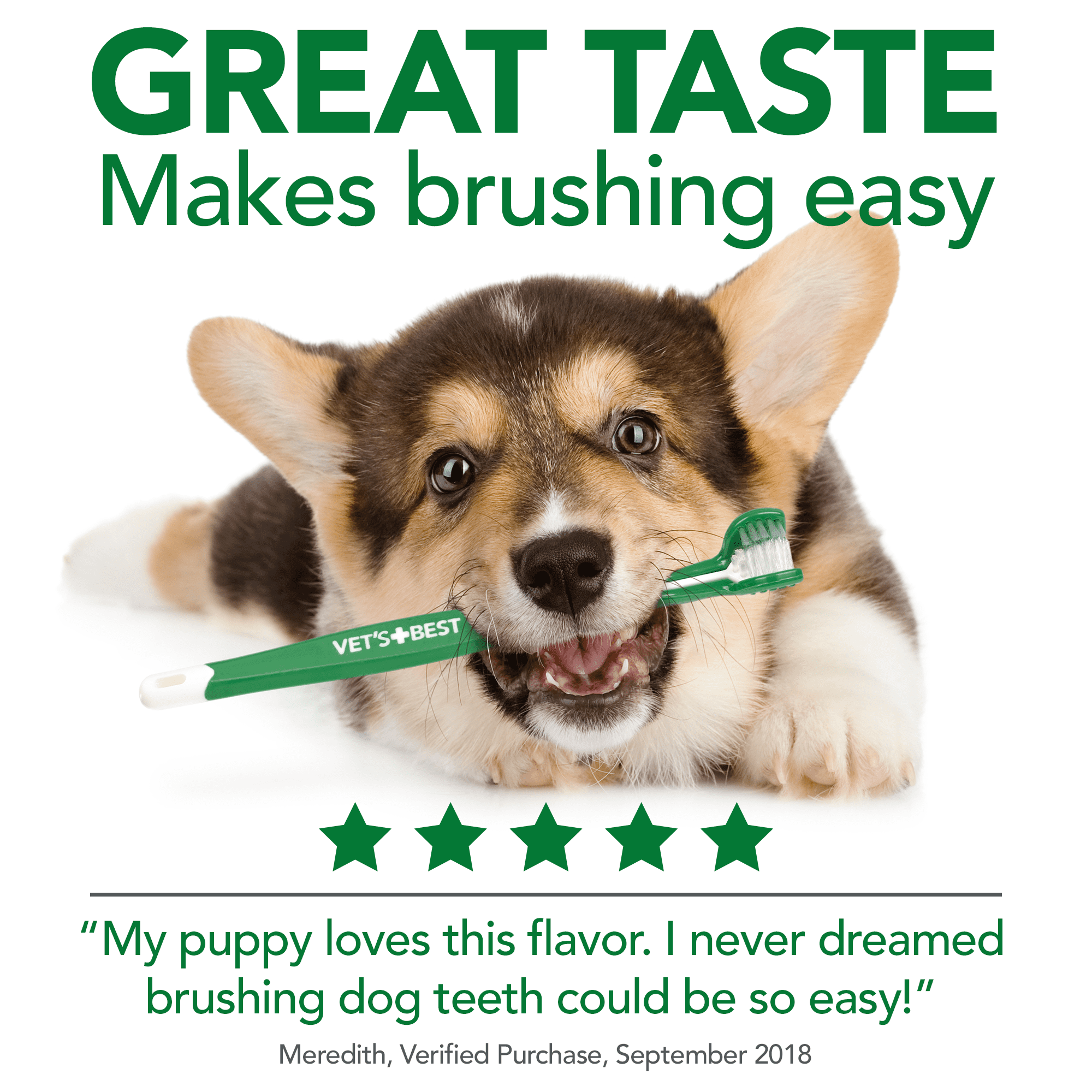 best puppy toothbrush and toothpaste
