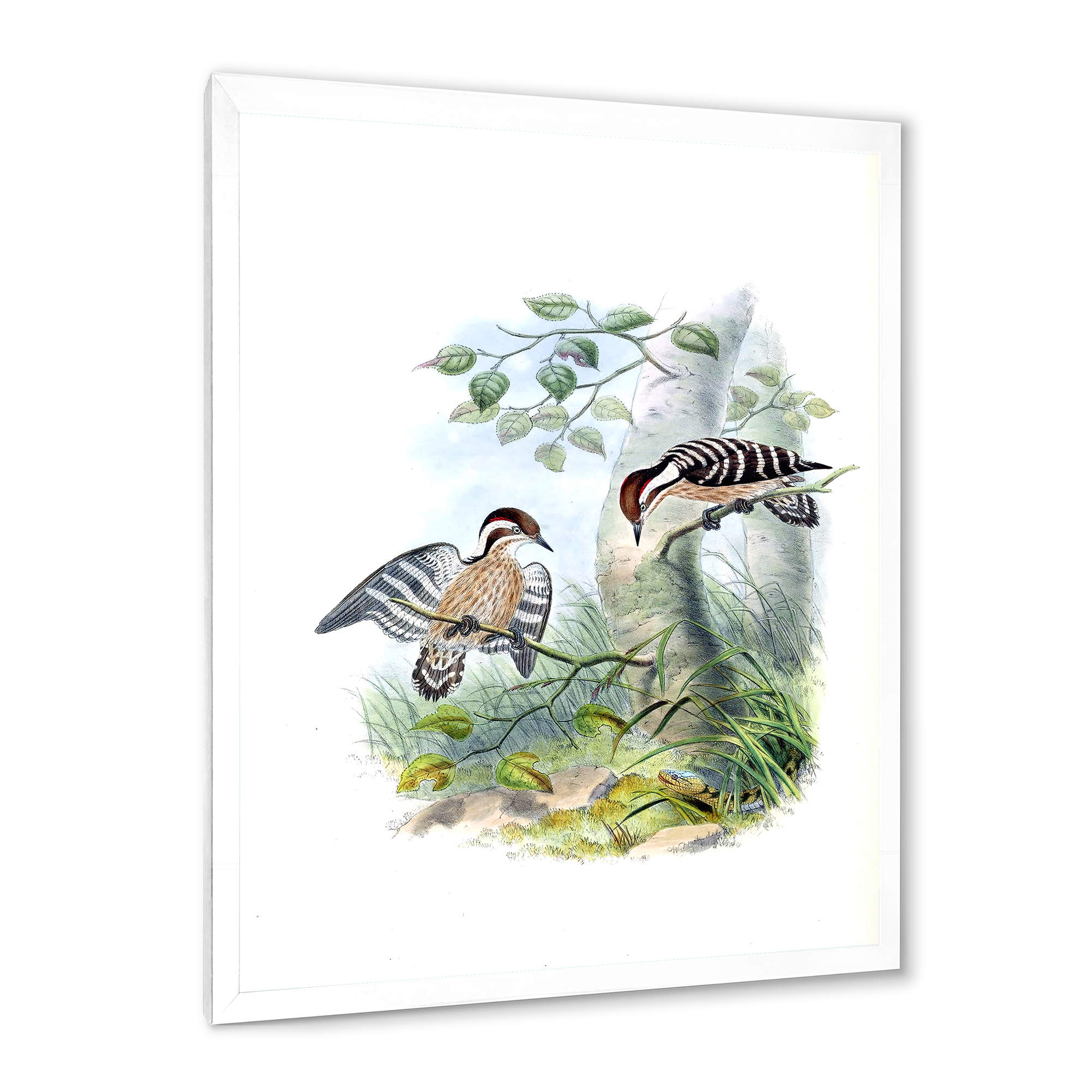 Designart 'Ancient Birds In The Wild I' Traditional Framed Art Print