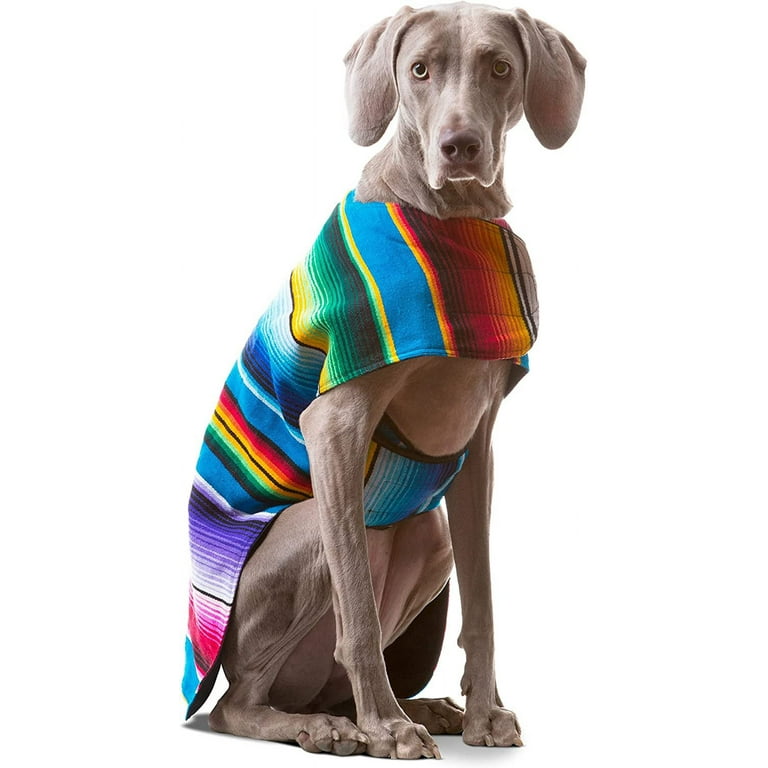 Cat Cone XS Baja Dog Poncho Mexcan Dog Hoode Dog Clothes Dog