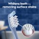 thumbnail image 5 of Cepillo dental Oral-B Pro-Health Plaque Eraser suave, paquete de 4, 5 of 9