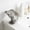 B, variant on Organizing and Storing in Clearance - Small Bear Soap Box Drains Layout Non Punching Home Affordable Luxurys Suction Cup Soap Box Wall Suction Cup Kitchen And Bathroom Storage Decoration
