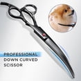 thumbnail image 4 of Sunrain 7.0in Stainless Steel 6 In 1 Professional Dog Grooming Scissors Kit, Heavy 4c, 4 of 5
