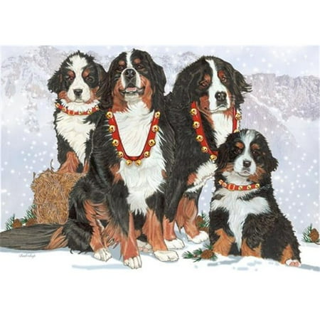 Pipsqueak Productions C523 Holiday Boxed Cards- Bernese Mountain Dog