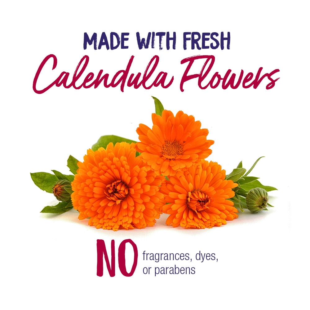 Boiron Calendula Ointment, Homeopathic Medicine for First Aid, Cuts, Scrapes, Minor Burns, Chapped Skin, 1 oz