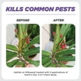 thumbnail image 4 of Three-in-one plant spray 32 ounces | Safe organic insecticide, fungicide and spider mite control agen, 4 of 8