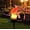 RED, variant on Meggemo Solar Resin Parrot Stake Light Outdoor Waterproof Solar Light Cute Animal Decor Light Energy Saving Landscape Light for Garden Lawn