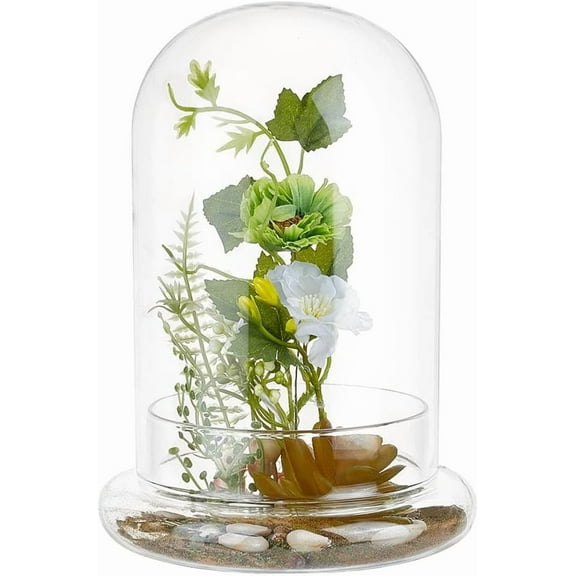 8.3x5.9 Inch Glass Cloche Dome with Base Clear Terrarium for Plants Glass Planter Display Dome for Cactus Succulents Tabletop Home Decoration Centerpiece No Air Hole diy