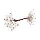 thumbnail image 5 of Bayas de acebo artificiales escarchadas, palitos navideños para decoración del hogar, 20 tallos de alambre Blanco, 5 of 9