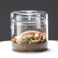 thumbnail image 4 of Micro-Landscape Glass Terrarium with Dew Collection Cover, Bonsai Vase Glass Microscopic Landscape Ecological Bottle S, 4 of 4