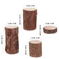 thumbnail image 2 of Raindrops 4Pack Tree Bark Decor For Small Animal Habitat Multi Wood Round Decorations, 2 of 6
