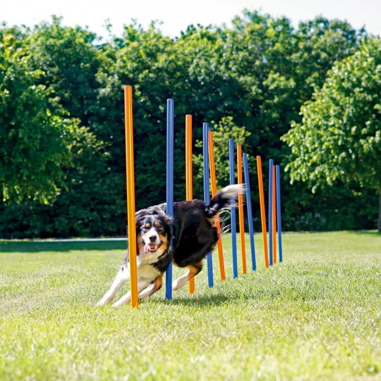 PAWISE Pet Dogs Outdoor Games Agility Exercise Training Equipment
