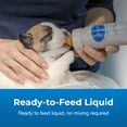 thumbnail image 4 of PetAg Esbilac Puppy Milk Replacer Liquid - 16 oz, 4 of 7