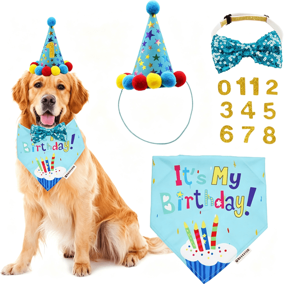 GASTROPOD Dog Birthday Hat,Blue Birthday Boy Bandana with Bow Tie,X-Large | 3 Sizes,It ’S My Birthday Dog Bandana,Colorful Pom Pom Hat,Bow Tie&Age Numbers for Large and Extra Large Dogs