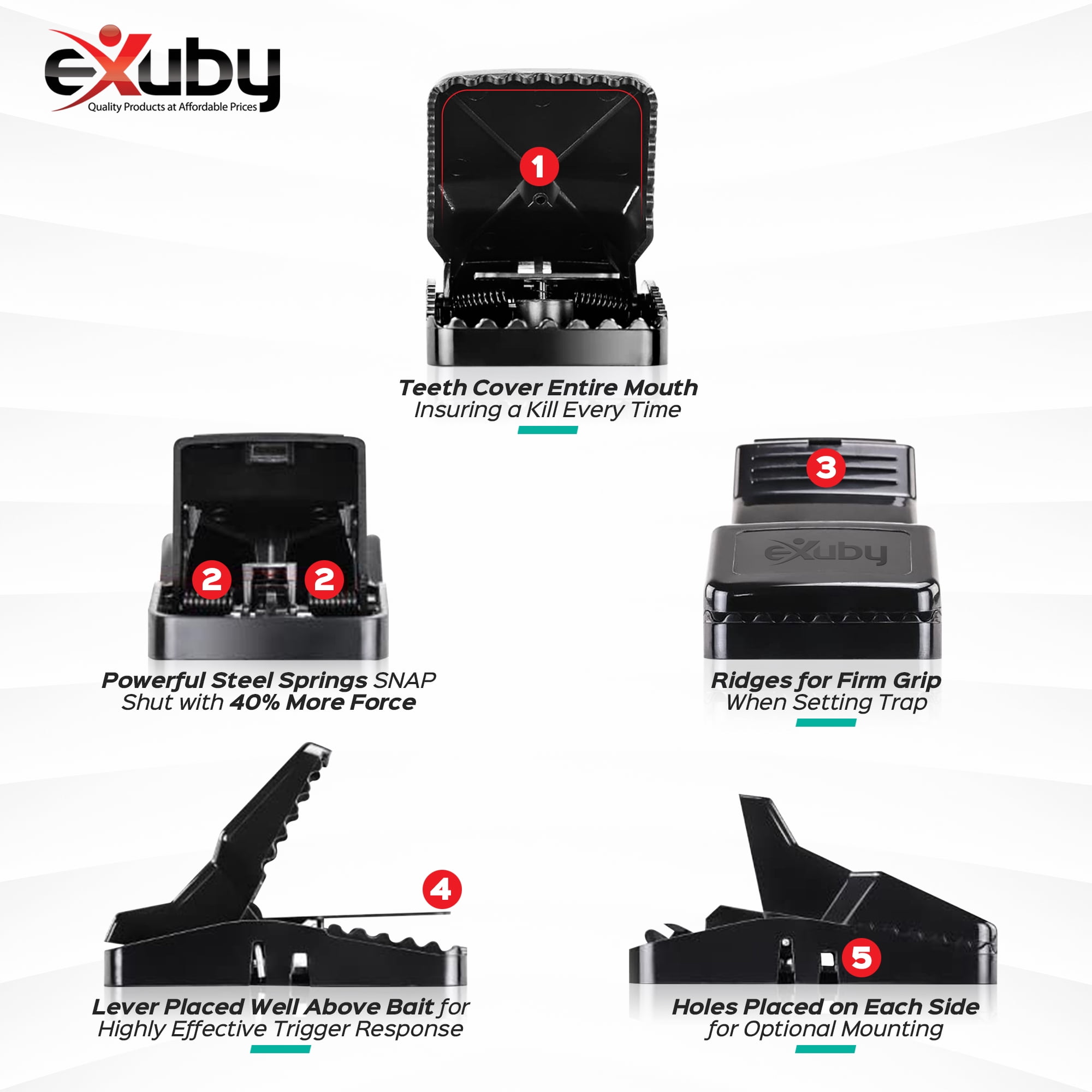 eXuby Large Powerful Rat Traps (6 Pack) - Kills Instantly with Powerful Steel Spring - Setup in Seconds - Wash & Reuse Over & Over - Rat Control without Harmful Poisons or Chemicals