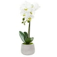 thumbnail image 2 of HomeStock Coastal Charm Orchid Artificial Arrangement (Set Of 2), 2 of 4