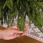 Minibee Norfolk Pine Stems 18 Inch, 16 Pack Real Touch Artificial Norfolk Pine Branches Faux Greenery for Christmas Decor, Garland
