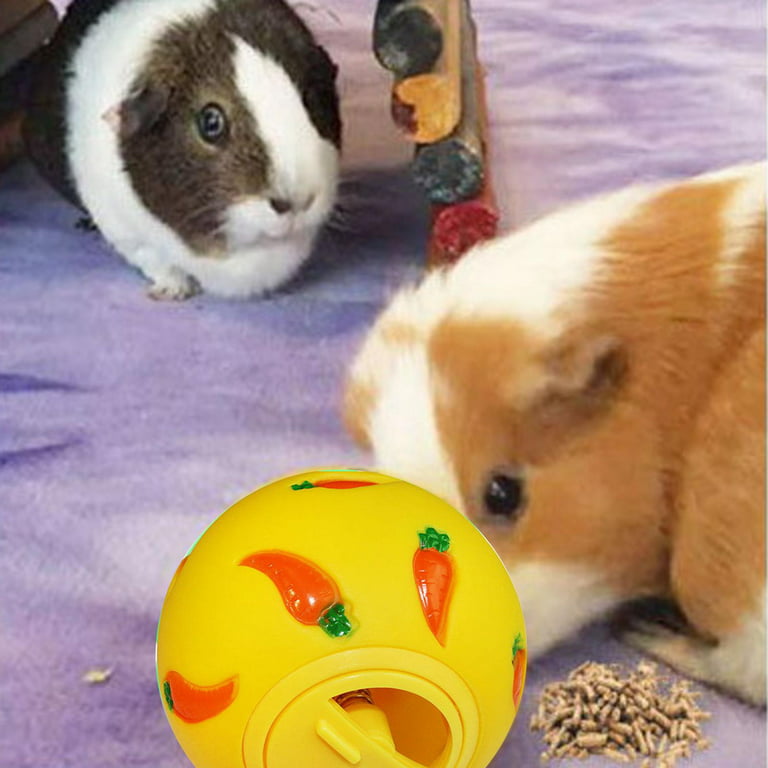 Small Pet Interesting Puzzle Toy, Carrot Graphic Food Leaking Ball, Rabbit  Feed Dispenser Toy, Slow Feed, Suitable For Small Pets, Such As Rabbits And  Chinchilla - Temu