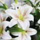 thumbnail image 3 of Flores de seda, ramos de lirios tigres artificiales de tacto real para arreglos florales de hotel, elegantes lirios falsos impresos en 3D, ramos de lirios artificiales con plena floración, perfectos, 3 of 6