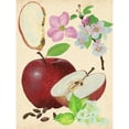 thumbnail image 3 of Wang, Melissa 12x14 Black Modern Framed Museum Art Print Titled - Apple and Blossom Study I, 3 of 5