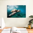 thumbnail image 3 of Elephant Stock Maui Turtle Wall Art - Horizontal Canvas Wall Art - Living Room Wall Decor - Animal Canvas - Teal And Green Decor - 12" x 8", 3 of 8