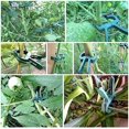 thumbnail image 5 of 60 pinzas para plantas de jardín (2 tamaños, cada una con 30 piezas) Abrazaderas reutilizables para soporte de jardinería de invernadero para plantas, vides, verduras, tallos de tomate y crecimiento, 5 of 5