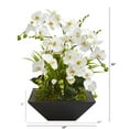 thumbnail image 2 of 23in. Phalaenopsis Orchid and Succulent Artificial Arrangement in Vase, 2 of 2